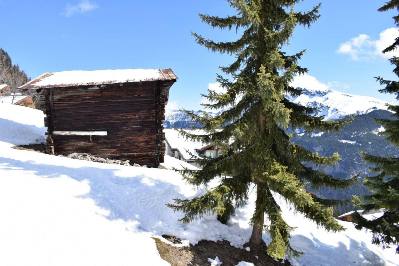 Sportlodge Muerren Luaran gambar